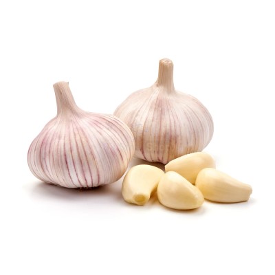 Чеснок крупный 1 кг - купить в Харьково-Полтавском